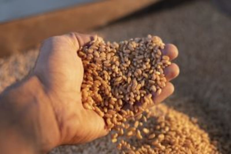 India Launches 'Villages of Excellence' in Israel Ag Deal - Image 3