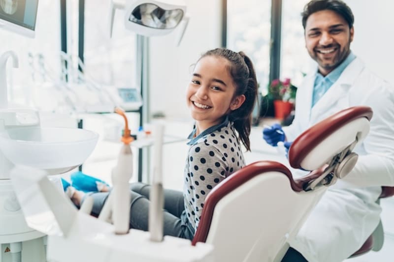 Connecticut Great Dane Minnie Breaks Height World Record - Image 4