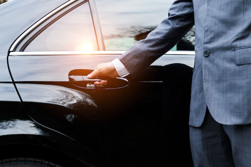 Californians Rally to Save Monarchs from Extinction - Image 3