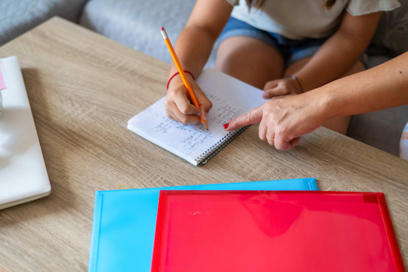 Californians Rally to Save Monarchs from Extinction - Image 5