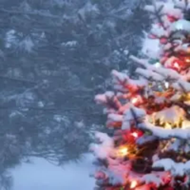 Oregon Red Cross Volunteers Deploy to Help 4,000 Displaced - Image 4