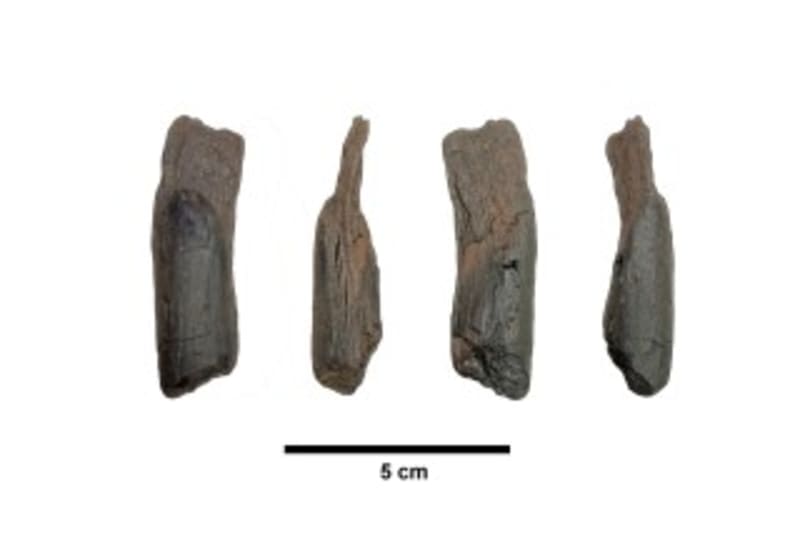 Greece Yields 760,000-Year-Old Wooden Tools - Image 4