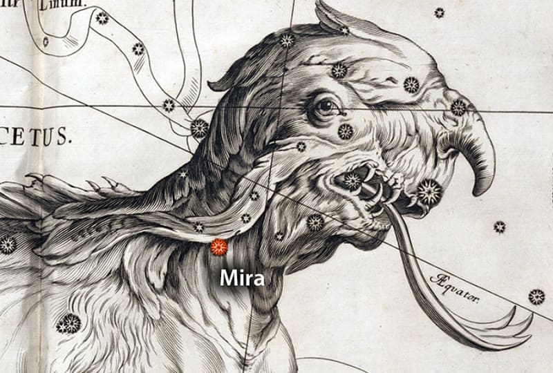 Ancient Star Mira Surprises Stargazers Every 332 Days