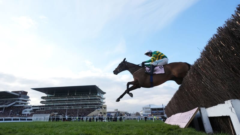 Cheltenham Gold Cup Excitement Builds with Stellar 33-Horse Entry List