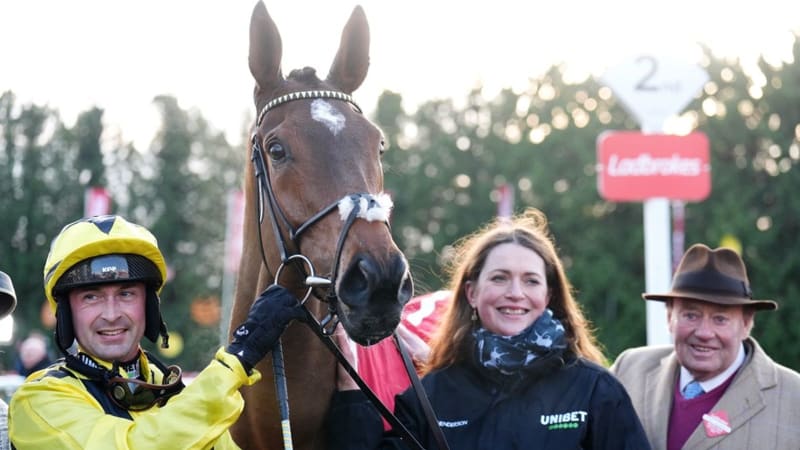 Star Racehorse Sir Gino Recovering After Cheltenham Injury