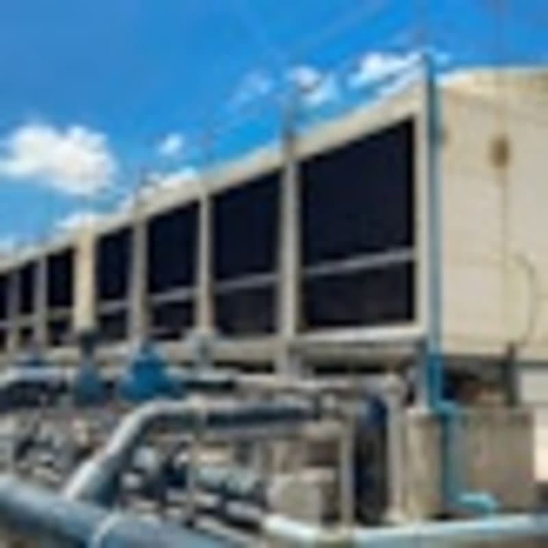 Countries Unite on Environment Despite Global Tensions - Image 4