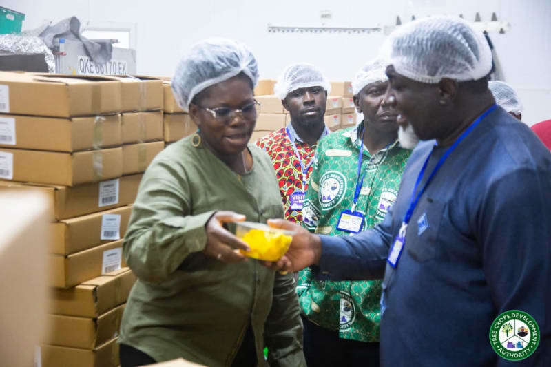 Ghana Partners Blue Skies to Boost Mango Industry - Image 2
