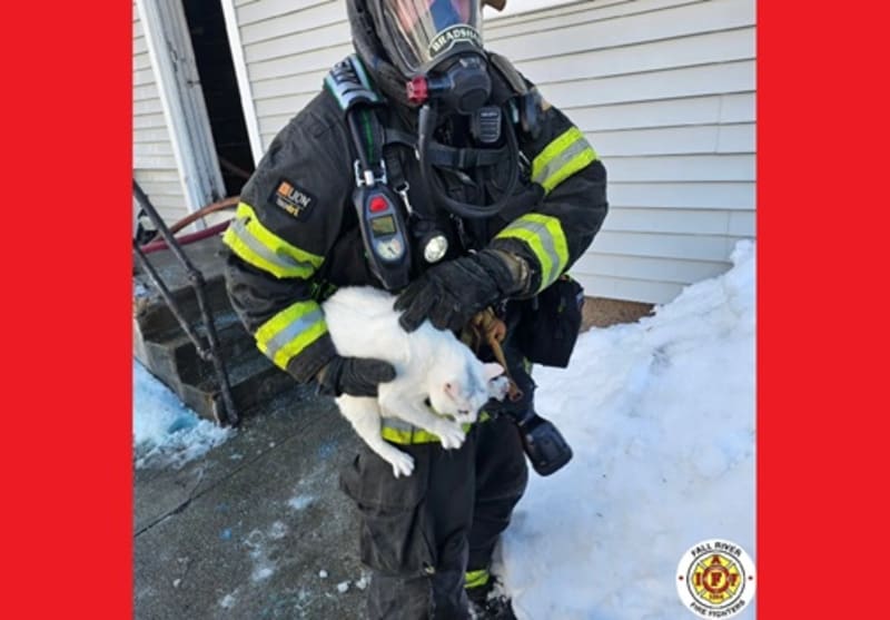Fall River Firefighters Rescue Cat, Control Blaze in 20 Min