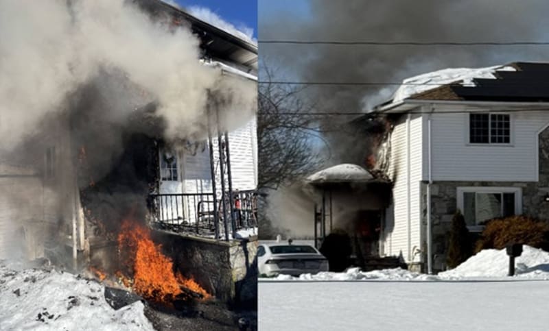 Swansea Firefighters Rescue 2 Cats from House Fire