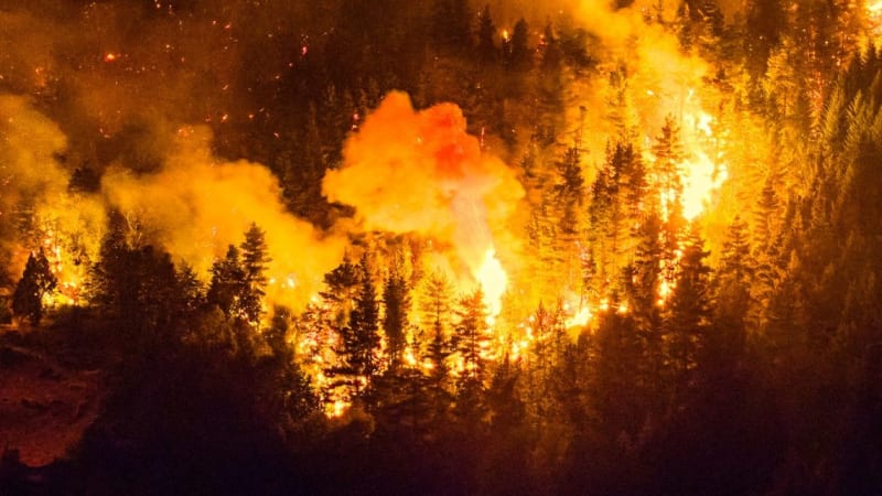 Heroic Rescue Effort Safely Evacuates 3,000 Tourists from Patagonia Wildfires