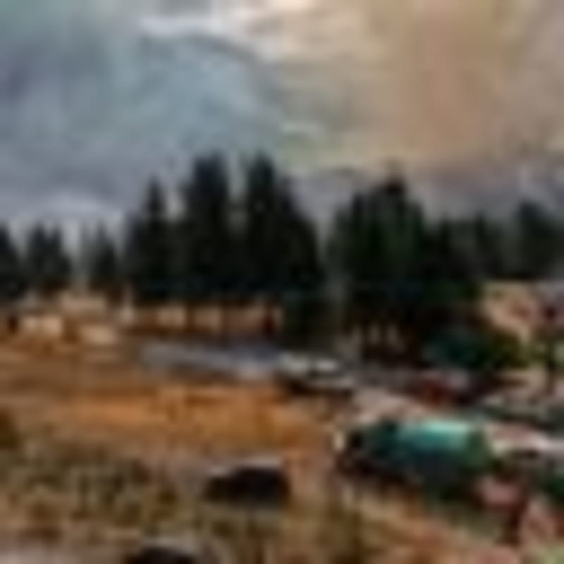 Argentina Proposes Ecocide Law After Wildfires - Image 2