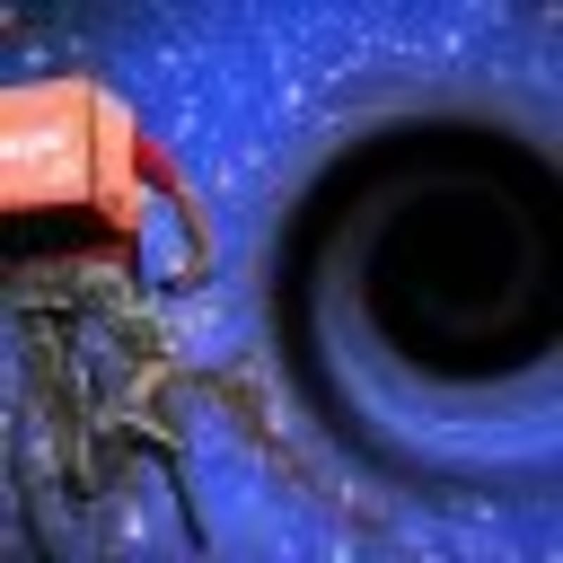 Blue Whale Spotted in Argentina Marine Park for First Time - Image 4