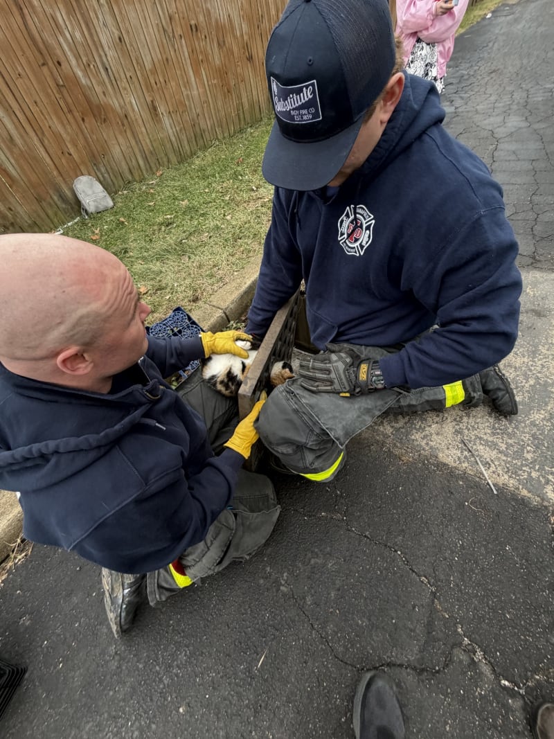 Heroic Indianapolis Firefighters and Veterinarians Team Up to Save Trapped Kitten - Image 4