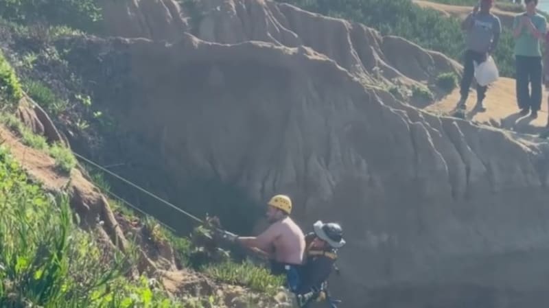 San Diego Lifeguards Save 4 Cliff Jumpers in High Surf - Image 2