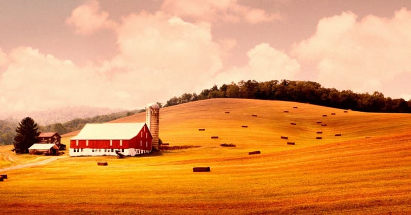 86-Year-Old Farmer Rejects $15M to Save His Family Land - Image 2