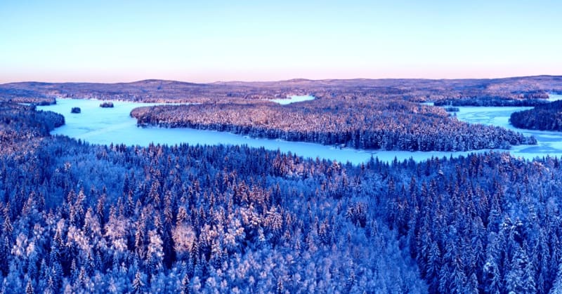 Boreal Forests Grow 12% and Shift North Over 36 Years - Image 2
