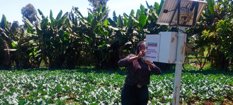 Kenyan Woman Uses AI and Solar to Fight Drought - Image 2