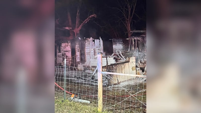 Texas Junior Firefighter Saves Second Dog in Burning Home - Image 2