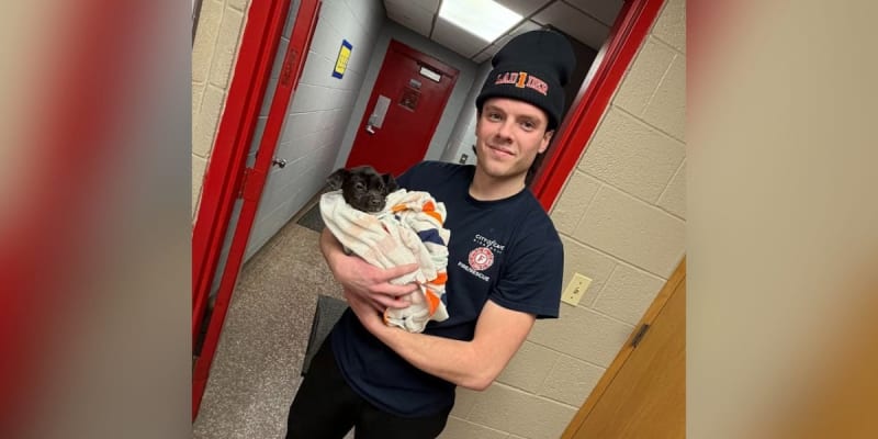 Firefighter Adopts Puppy He Saved From Burning Car