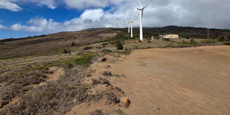 Maui Wind Farm Gets 25-Year Lease, Powers 17K Homes