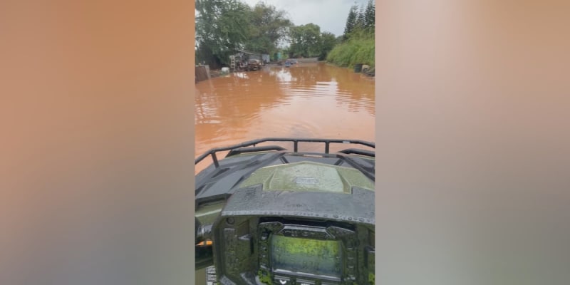 Ex-Firefighter Saves Coworker and Piglet from Hawaii Flood