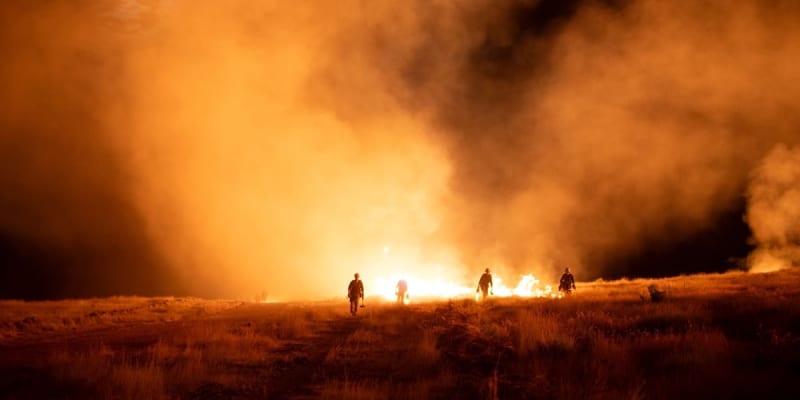 Colorado Restores 265,000 Acres After Historic Wildfire