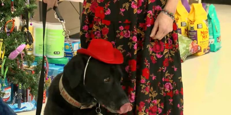Black lab dog Ralphie surrounded by students at Oklahoma school fundraiser celebration