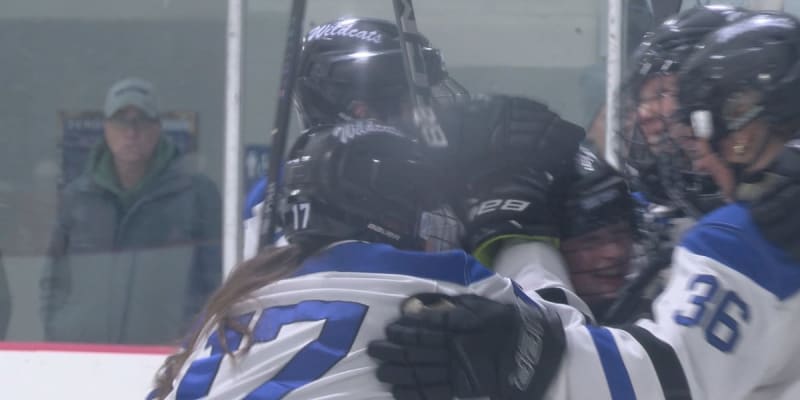Dodge County Girls Hockey Reaches 4th Straight Section Final