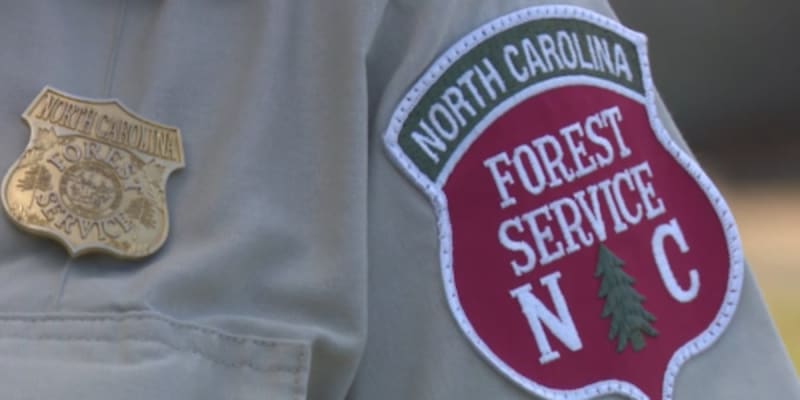 $290M Deal to Restore North Carolina's Hurricane-Hit Forests