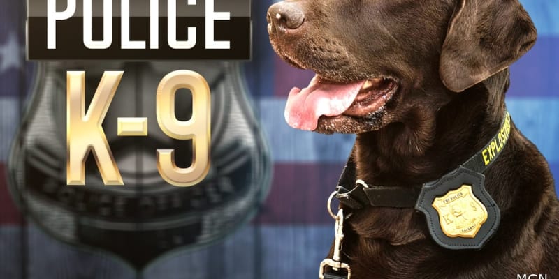 NJ Foundation Sends Bulletproof Vest to NC Police Dog