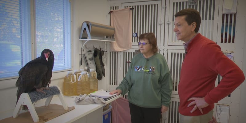 Teacher Runs Wildlife Rescue 365 Days a Year for 30 Years