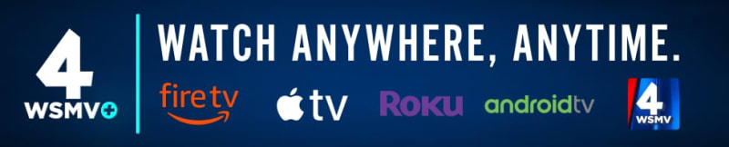 Nashville Park Seeks Volunteers After Ice Storm Damage - Image 3