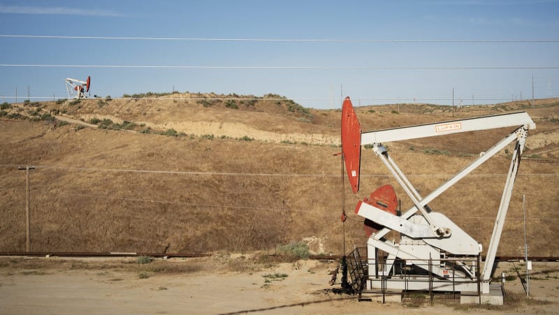 California Wetland Becomes Climate Lab After 20-Year Revival - Image 2