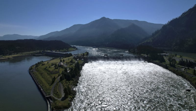 Oregon's New Wildlife Tax Could Save 300+ At-Risk Species - Image 3