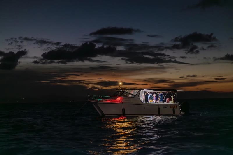 $300M Project Aims to Save Great Barrier Reef - Image 2