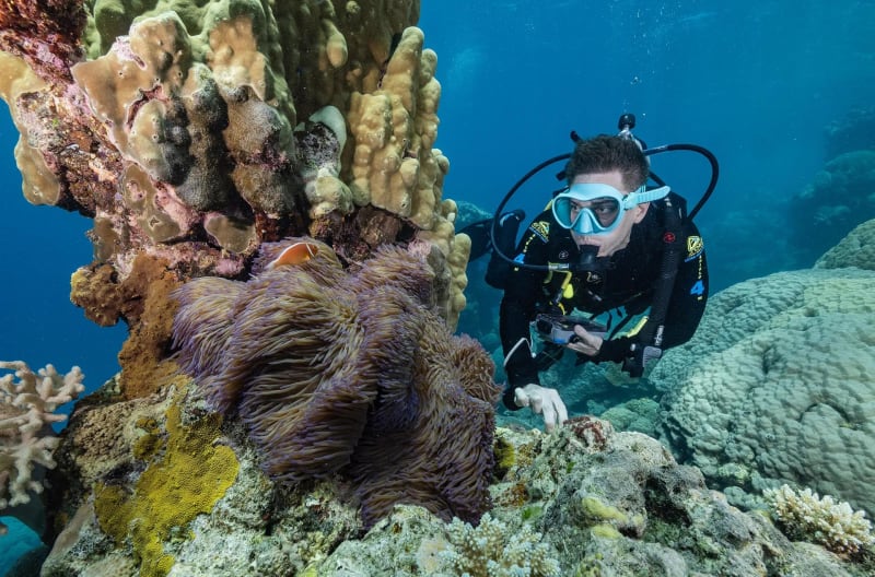 $300M Project Aims to Save Great Barrier Reef - Image 3