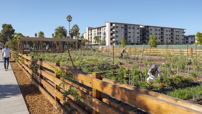 Neighborhoods Built Around Working Farms Sprout Across U.S.