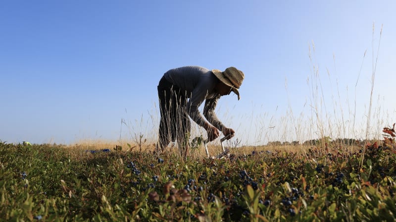 Farmer reviewing weather data and climate maps on computer to plan crops