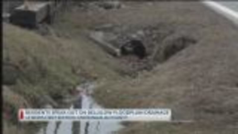 West Virginia Squad Teaches Hands-Only CPR to Save Lives - Image 4