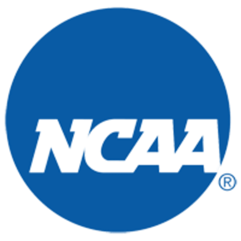 Iowa Swimmers Shatter School Record at Big Ten Championships - Image 4