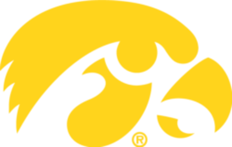 Iowa Swimmers Shatter School Record at Big Ten Championships - Image 2