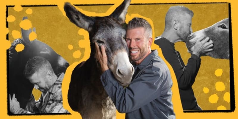 Ex-Media VP Rescues 250 Donkeys After Seeing One TikTok - Image 2
