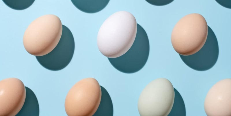 Women Drive 51% of Global Protein Demand Surge