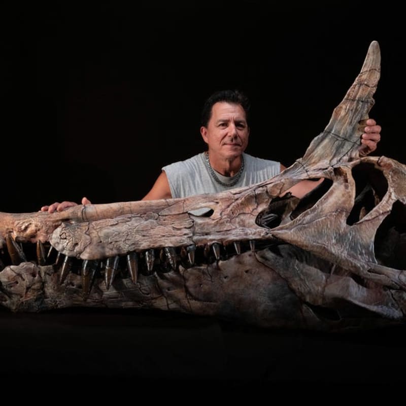 Sahara Fossil Hunt Reveals 40-Foot 'Hell Heron' Dinosaur - Image 3