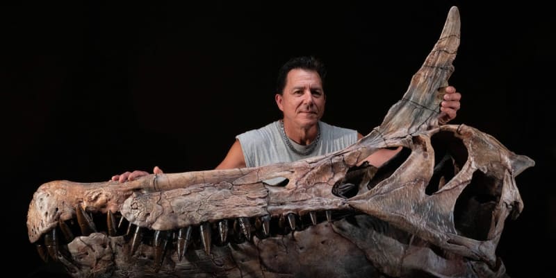 Sahara Fossil Hunt Reveals 40-Foot 'Hell Heron' Dinosaur