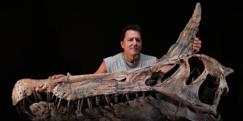 Sahara Fossil Hunt Reveals 40-Foot 'Hell Heron' Dinosaur - Image 2
