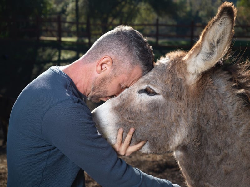 Ex-Media VP Rescues 250 Donkeys After Seeing One TikTok - Image 5
