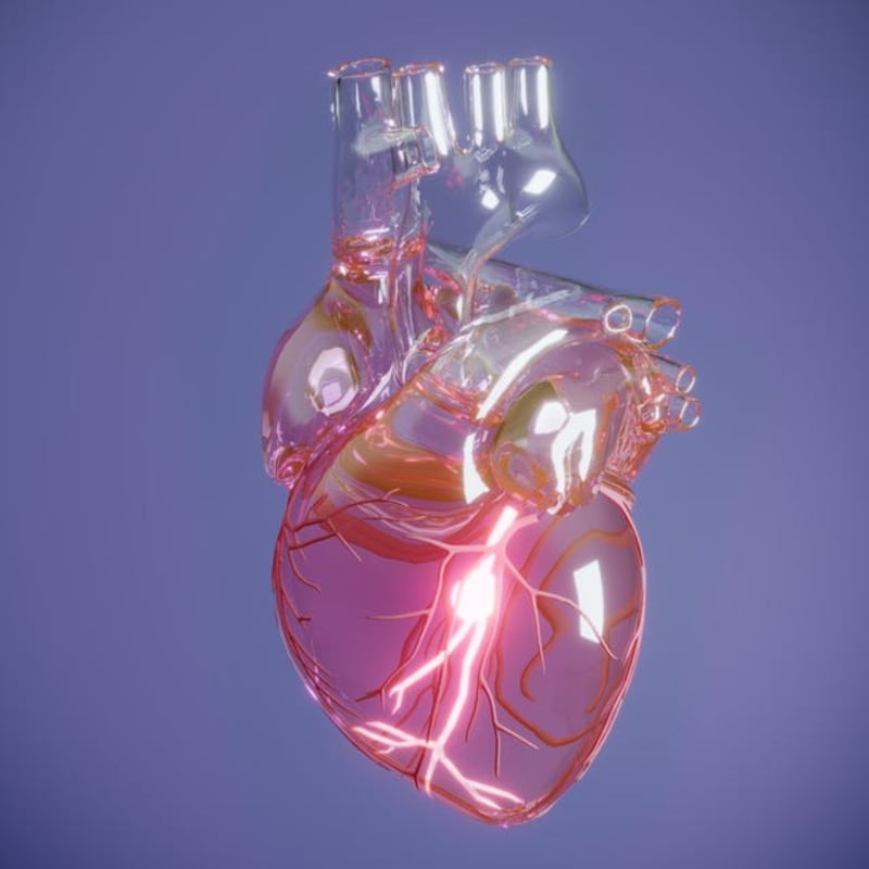 Mammograms May Soon Detect Heart Disease Risk in Women - Image 3