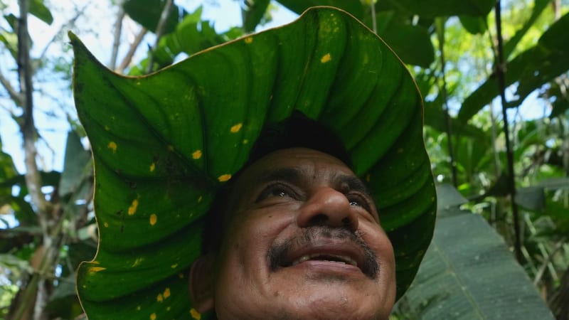 Amazon Family Saves Rare Plants Despite Zero Government Help