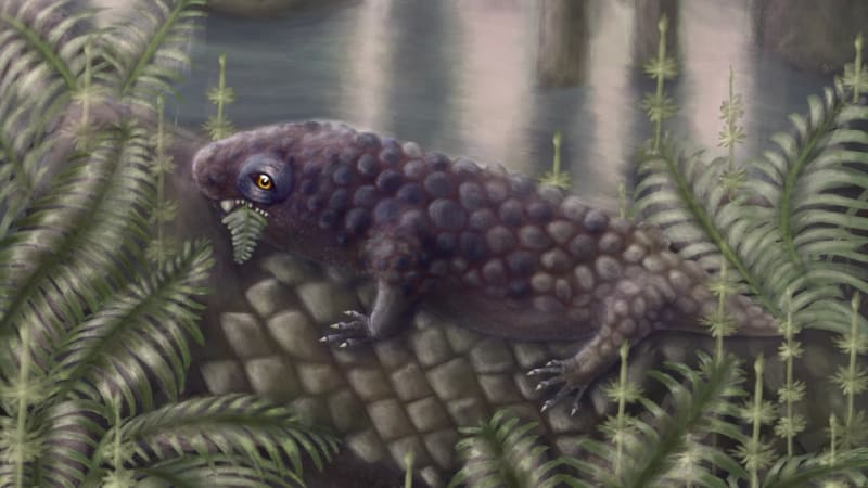 Football-Sized Fossil Rewrites Plant-Eating History - Image 2